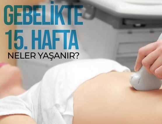 15.hafta hamilelik