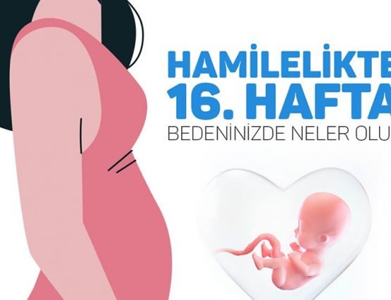 16.Hafta hamilelik