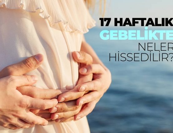 17.hafta gebelik