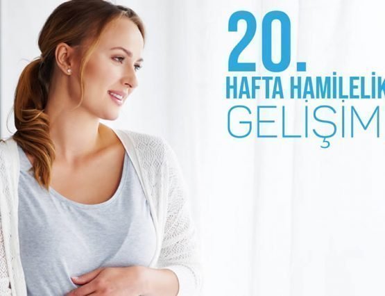 20.hafta hamilelik