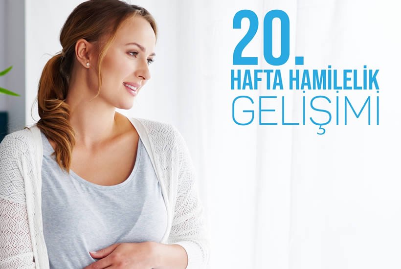 20.hafta hamilelik