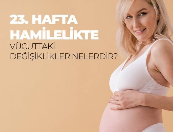 23 hafta hamilelik