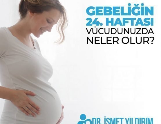 24 hafta hamilelik