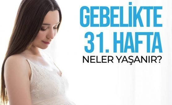 31.hafta hamilelik