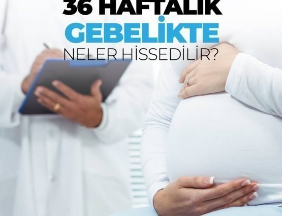 36 hafta hamilelik